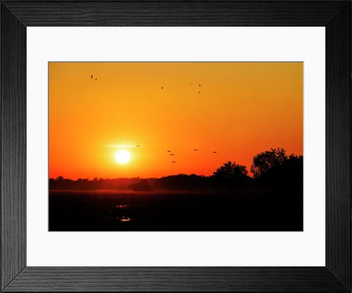 Framed Print : Sunrise with birds in silhouette Framed Print : Sunrise with birds in silhouette