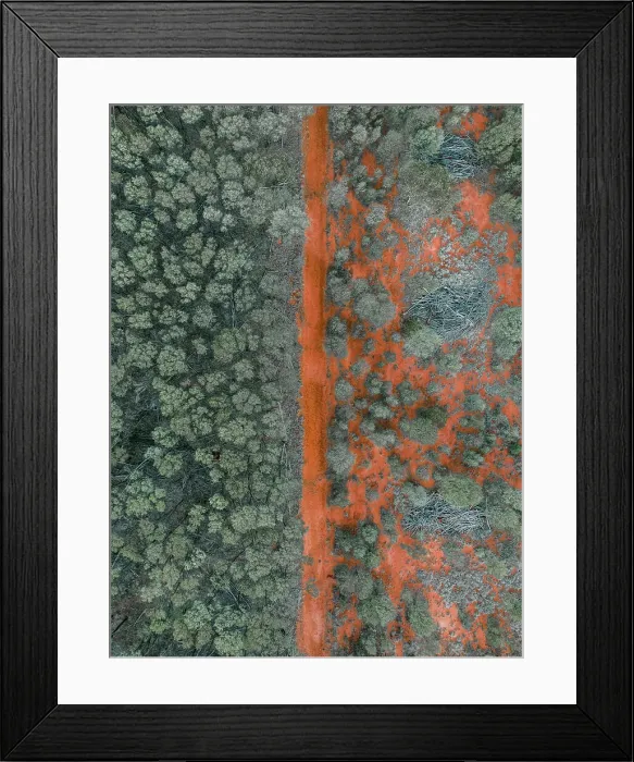Framed Print : Orange coloured dirt road crossing through a forest photographed from a drone point of view, Queensland, Australia