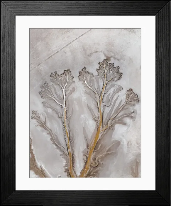 Framed Print : Overhead shot showing branches from a river tributary on a dry floodplain, Derby, The Kimberley, Western Australia, Australia