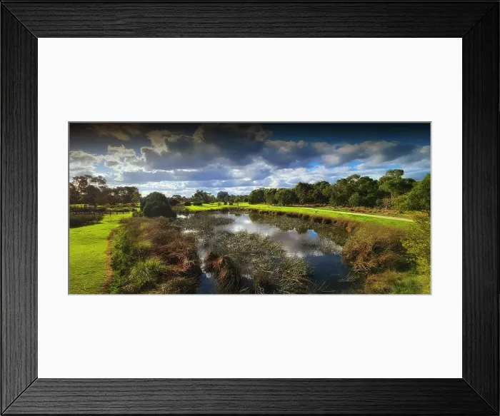 Framed Print : Winter Light at Hidden Grove, Keysborough, Victoria, Australia