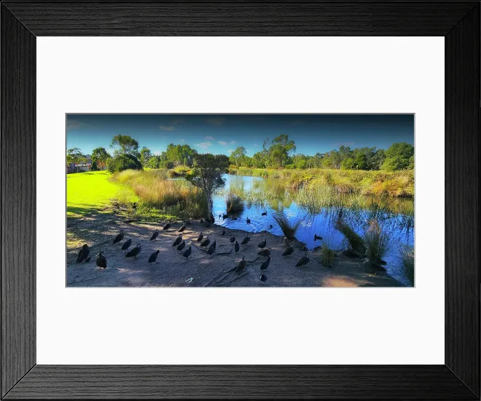 Framed Print : Winter Light at Hidden Grove, Keysborough, Victoria, Australia
