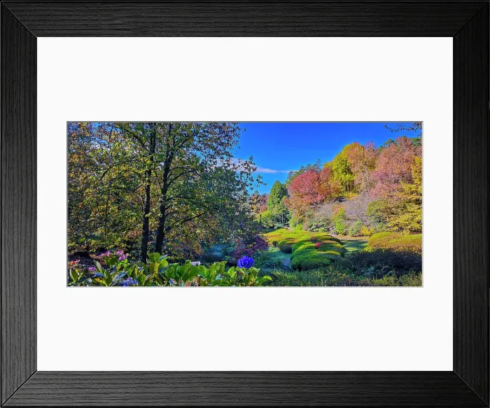 Framed Print : Autumn colours in the Dandenong Ranges National Park, Victoria, Australia