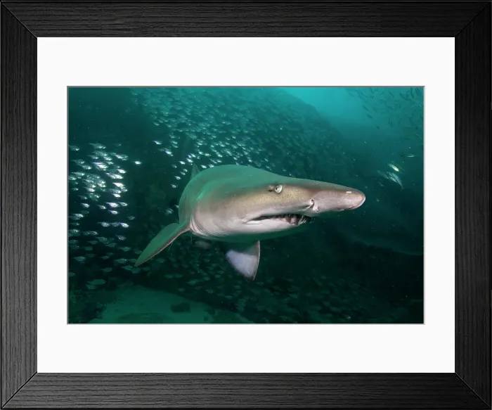 Framed Print : South West: Rocks
