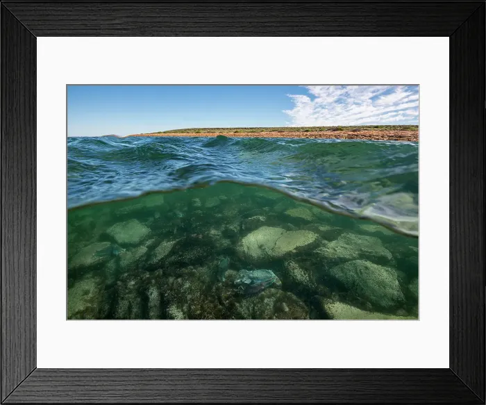 Framed Print : Split image showing Australian giant cuttlefish in shallow water and the surrounding coastline, Whyalla, South Australia