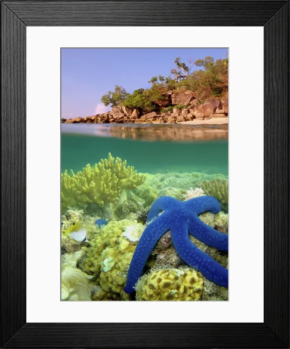 Framed Print : Lizard Island reef