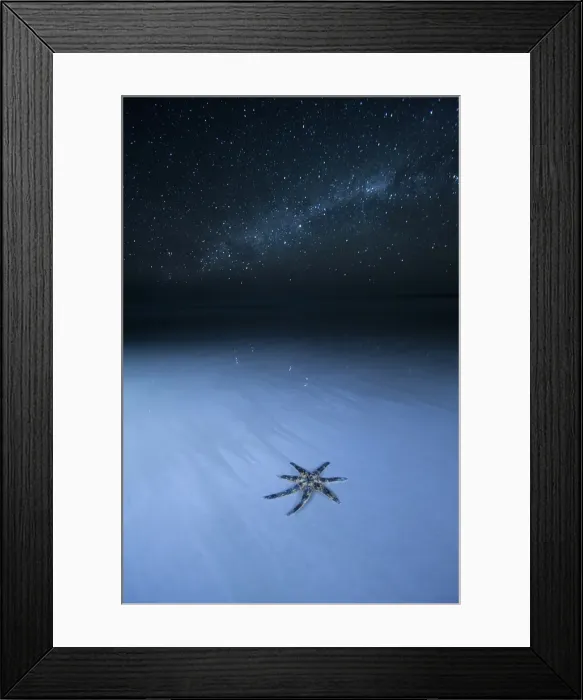 Framed Print : Thousands of stars and a starfish. Starfish on a beach at night. The night sky, stars and night sky in the background. Wreck Beach. Sleaford Bay. Eyre Peninsula. South Australia Framed Print : Thousands of stars and a starfish. Starfish on a beach at night. The night sky, stars and night sky in the background. Wreck Beach. Sleaford Bay. Eyre Peninsula. South Australia