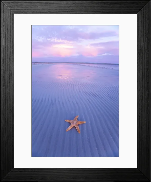 Framed Print : Starfish on sand bar