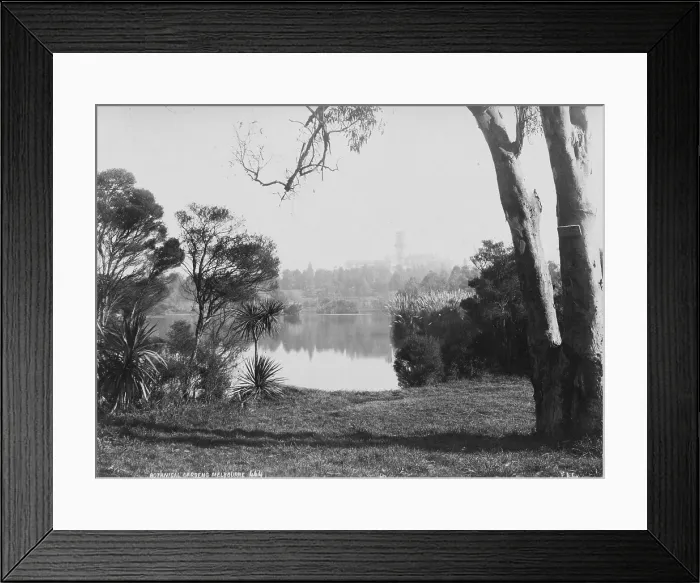 Framed Print : Royal Botanic Gardens Victoria Framed Print : Royal Botanic Gardens Victoria