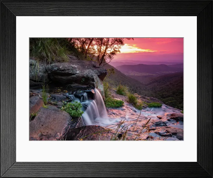 Framed Print : O'Reillys Rainforest At Sunset Framed Print : O'Reillys Rainforest At Sunset