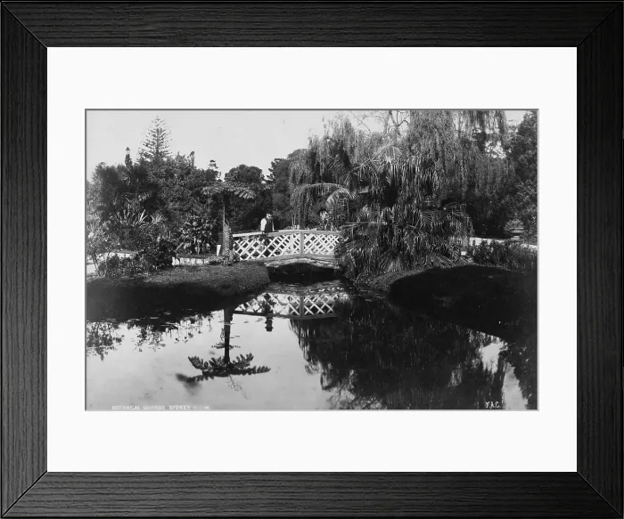 Framed Print : Royal Botanic Garden, Sydney Framed Print : Royal Botanic Garden, Sydney