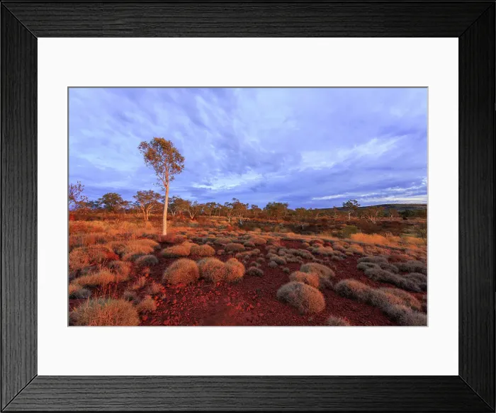 Framed Print : Karijini. The Pilbara Region of Western Australia Framed Print : Karijini. The Pilbara Region of Western Australia