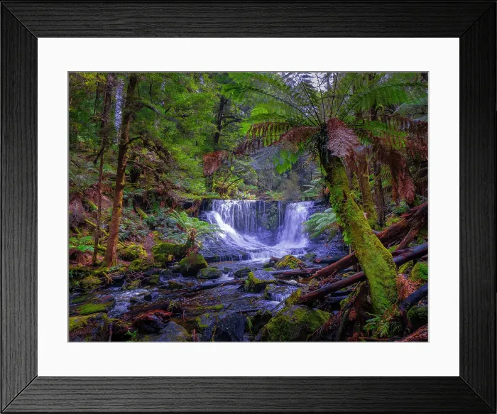 Framed Print : A view to Horseshoe falls in the Mount Field National Park southern Tasmania, Australia Framed Print : A view to Horseshoe falls in the Mount Field National Park southern Tasmania, Australia