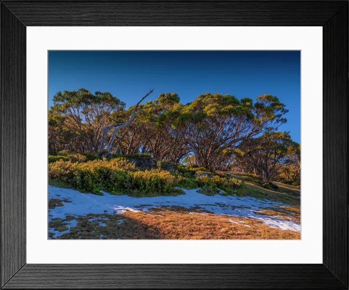 Framed Print : Early snow, Mount Baw Baw, west Gippsland