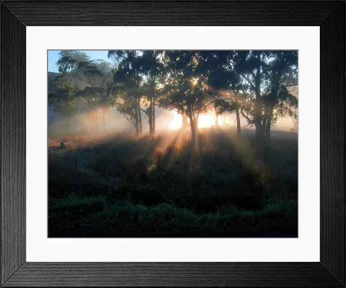 Framed Print : Gorgeous dawn backlight in the rural area at Paradise