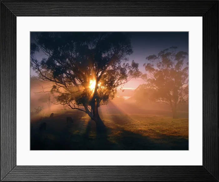 Framed Print : Gorgeous dawn backlight in the rural area at Paradise Framed Print : Gorgeous dawn backlight in the rural area at Paradise