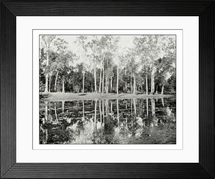 Framed Print : Antique photograph of Lagoon on the Clarence River Framed Print : Antique photograph of Lagoon on the Clarence River