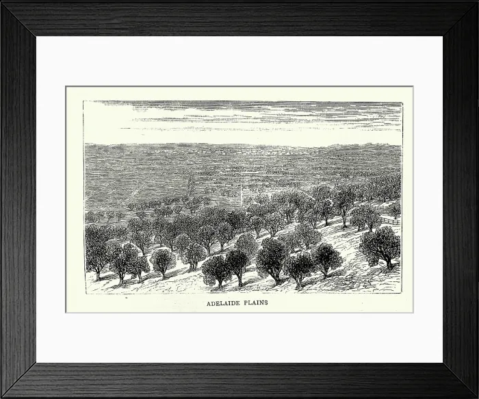 Framed Print : Vintage illustration Sketches in South Australia, Adelaide Plains, 1870s, 19th Century