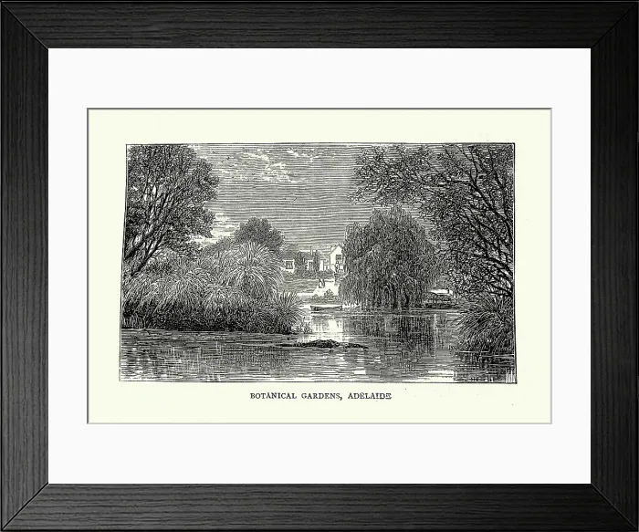 Framed Print : Vintage illustration Sketches in South Australia, Botanical gardens, Adelaide, 1870s, 19th Century Framed Print : Vintage illustration Sketches in South Australia, Botanical gardens, Adelaide, 1870s, 19th Century