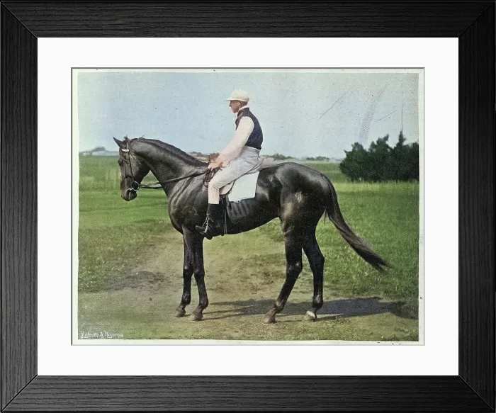Framed Print : Gaulus and Jockey winner of the 1897 Melbourne Cup, Thoroughbred horse race, Victorian, 1890s, Vintage photograph, 19th Century