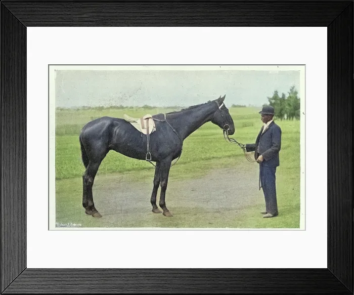 Framed Print : The Grafter racehorse, came second in the 1897 Melbourne Cup, Thoroughbred horse race, Victorian, 1890s, Vintage photograph, 19th Century