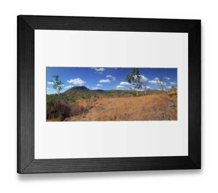 Framed Print : Australian Bush