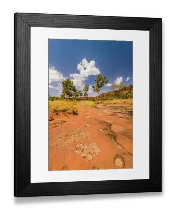 Framed Print : Palm Valley, Finke Gorge National Park, Northern Territory, Australia