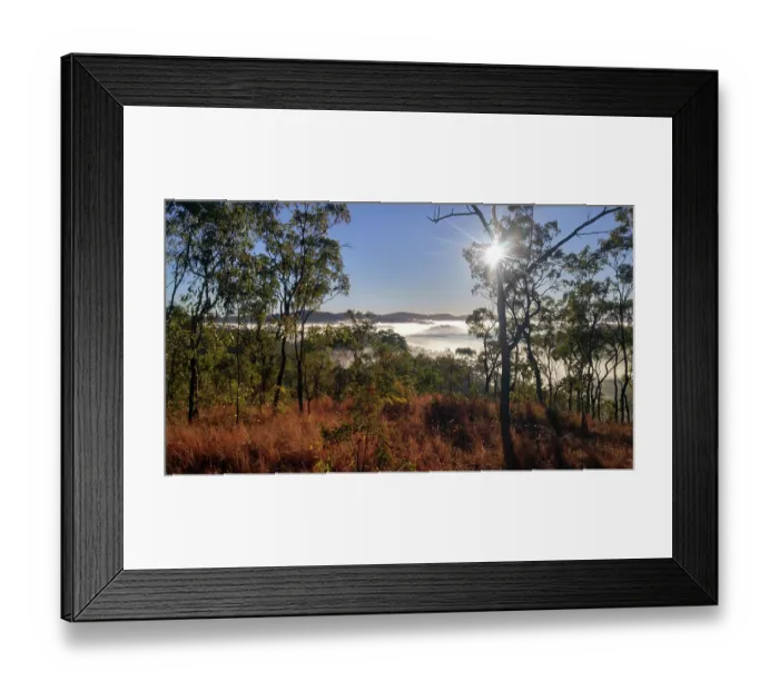 Framed Print : South Palmer Mist Framed Print : South Palmer Mist