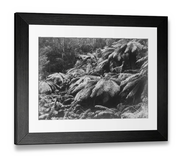 Framed Print : Mount Wellington