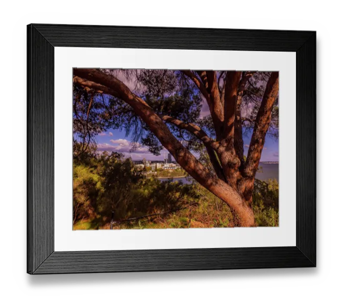 Framed Print : Viewpoint of Perth City from Kings Park Framed Print : Viewpoint of Perth City from Kings Park