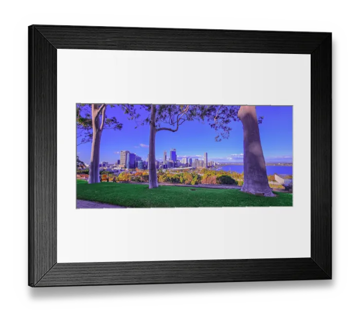 Framed Print : Viewpoint of Perth City from Kings Park Framed Print : Viewpoint of Perth City from Kings Park