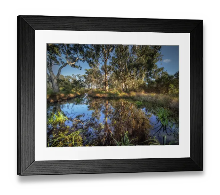 Framed Print : Hidden Grove Wetlands, Keysborough South, Bayside Framed Print : Hidden Grove Wetlands, Keysborough South, Bayside