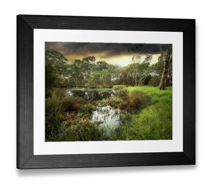 Framed Print : Winter Light at Braeside Park Wetlands Framed Print : Winter Light at Braeside Park Wetlands