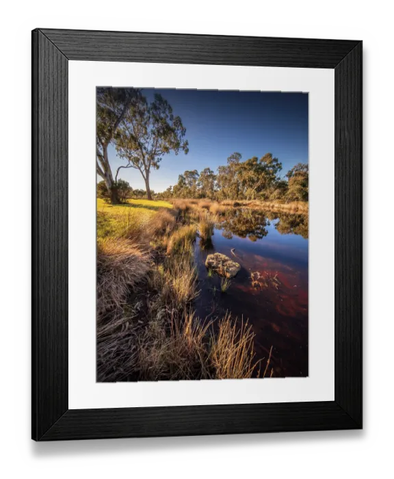 Framed Print : Hidden Grove Wetlands, Keysborough South, Bayside Framed Print : Hidden Grove Wetlands, Keysborough South, Bayside