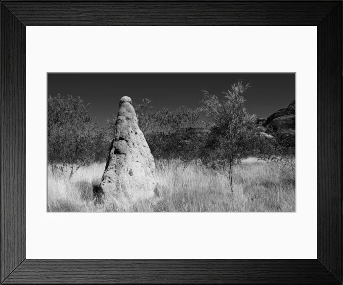 Framed Print : Termite Mound