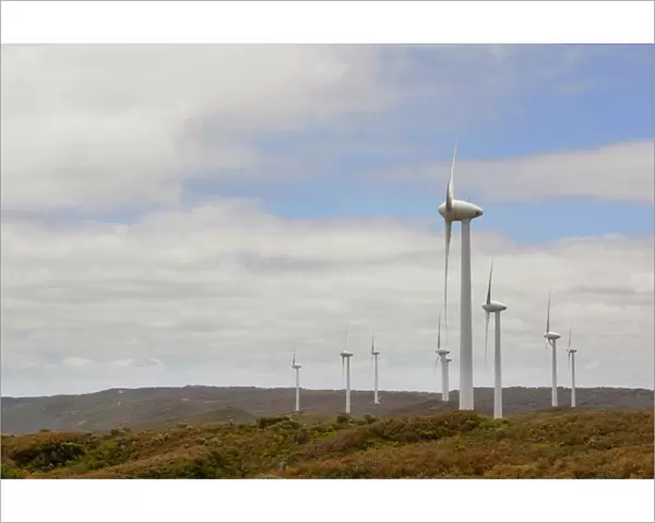 The Wind Turbines At The Albany Wind Farm At Sandpatch