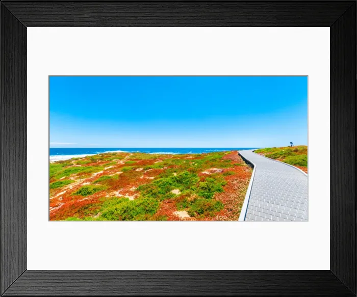 Framed Print : Rottnest Island Framed Print : Rottnest Island