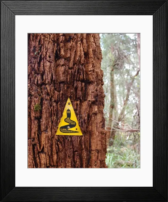 Framed Print : The Wagyl- Bibbulman Track trail sign Framed Print : The Wagyl- Bibbulman Track trail sign