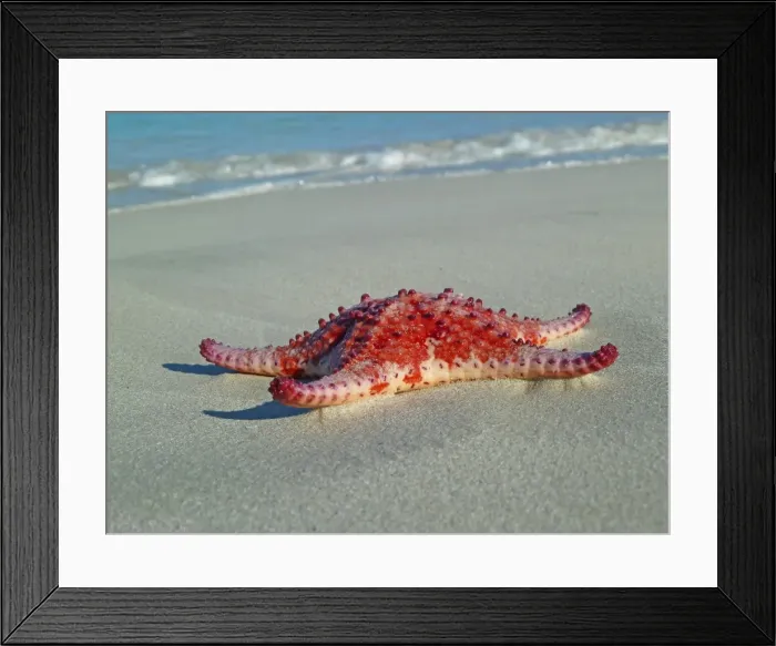 Framed Print : Twilight beach Framed Print : Twilight beach