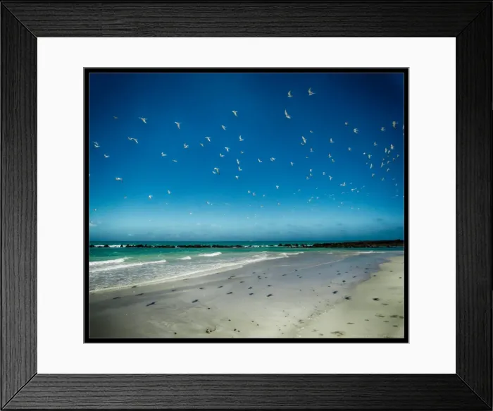 Framed Print : Coconut Beach, Broome, Australia