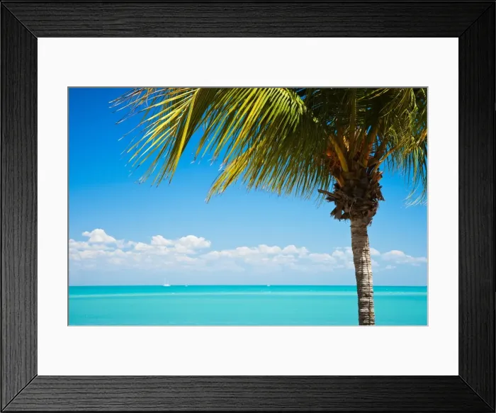 Framed Print : Tropical Broome Framed Print : Tropical Broome