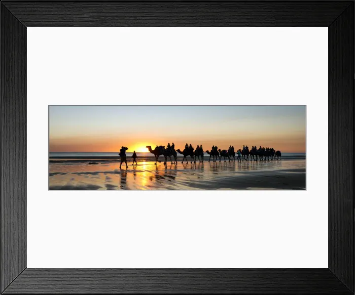 Framed Print : camel train Framed Print : camel train