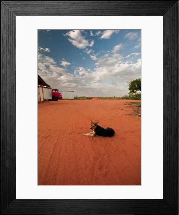 Framed Print : Red Dirt Dog - Broome WA
