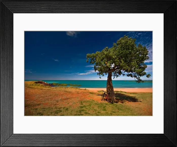 Framed Print : Boab tree and Bike, Town Beach Broome WA