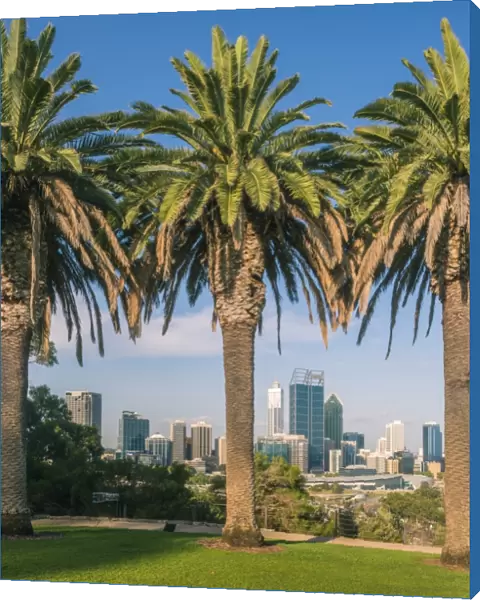 Perth City and Central Business District from Kings Park