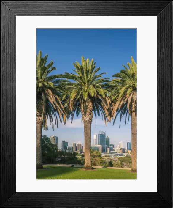 Framed Print : Perth City and Central Business District from Kings Park Framed Print : Perth City and Central Business District from Kings Park