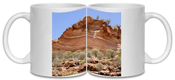 Sandstone strata on the bank of the Murchison River, Kalbarri National Park, Western Australia, Australia