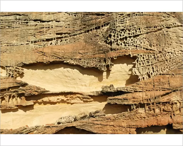 130874821. Textured sandstone, Rainbow Valley