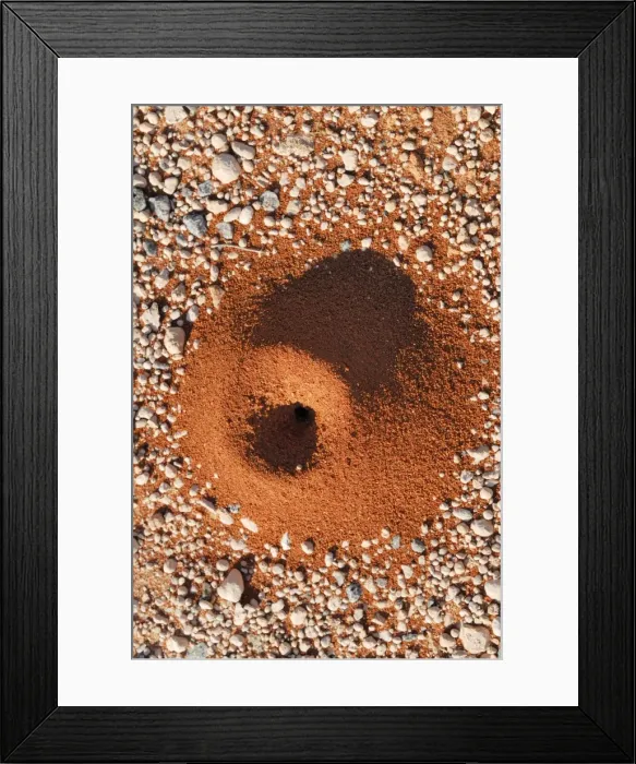 Framed Print : Anthill on the side of a highway, Shark Bay World Heritge Area, Western Australia, Australia