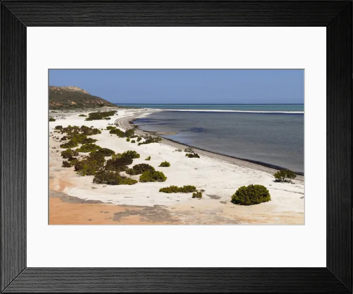 Framed Print : Shell Beach, Shark Bay World Heritage Area, Western Australia, Australia