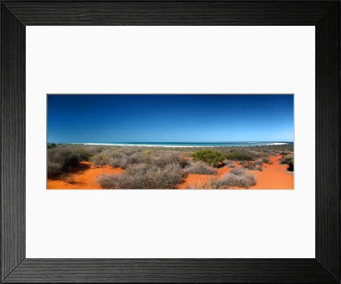 Framed Print : shark bay Framed Print : shark bay
